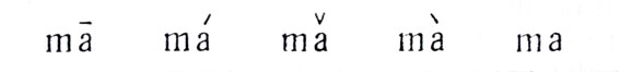 28.             - .   : '' ( ), '' ( ), '' (- ), '' ( ),   (  )