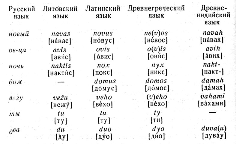 Таблица. Родственная связь между языками